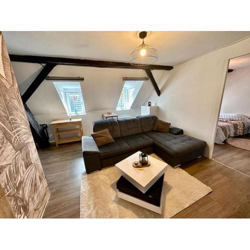 Logement entier au coeur de Strasbourg