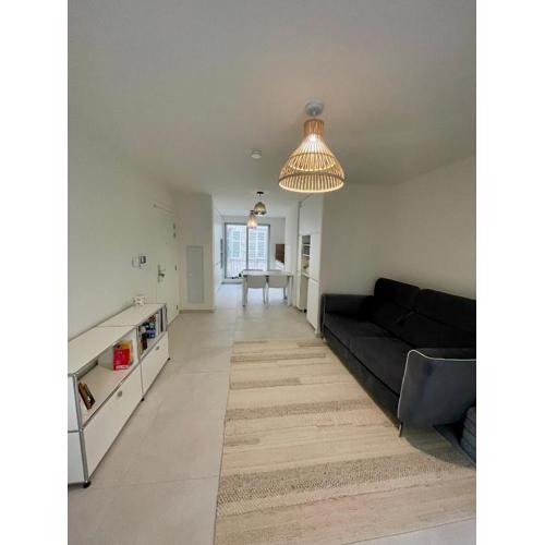Logement neuf entier Petite France