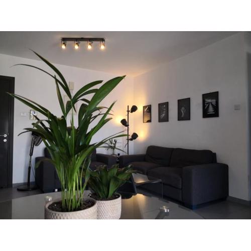 Loizou Holdings Flat 301