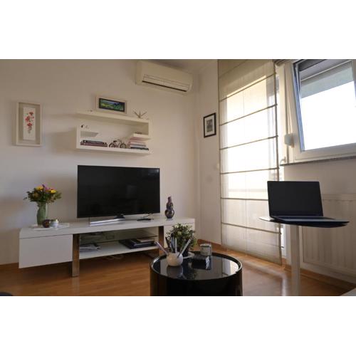 Lola suite