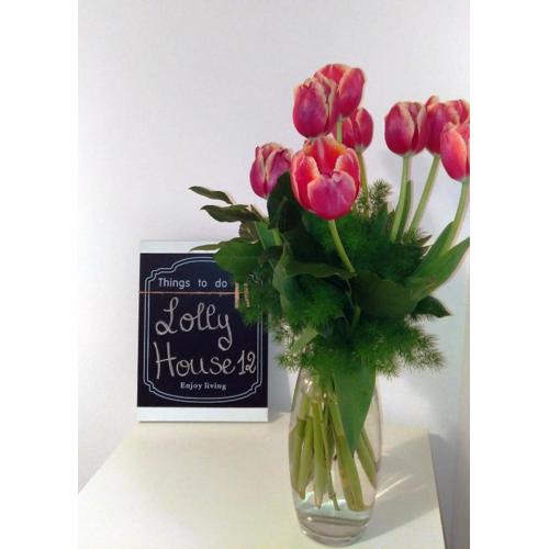 Lolly House 12