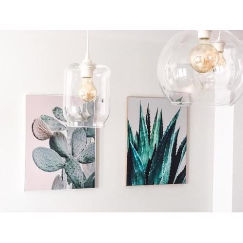 Los Cactus 1