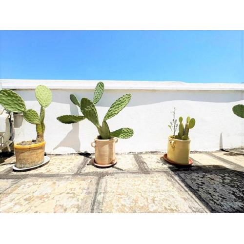 Lotus Guest House - Ostuni