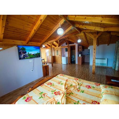 Lovely 1 - bedroom loft with free parking