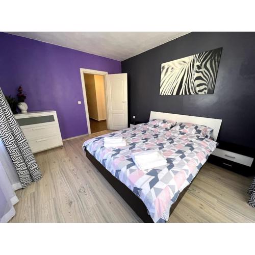 Lovely 2-bedroom rental unit in Sofia