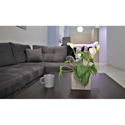 Lovely apartment in the center of Athens.