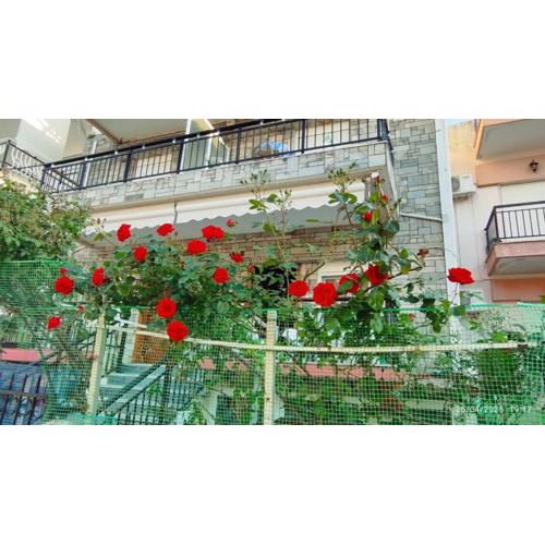 Lovely maison house 50m from the beach at Nea Flogita