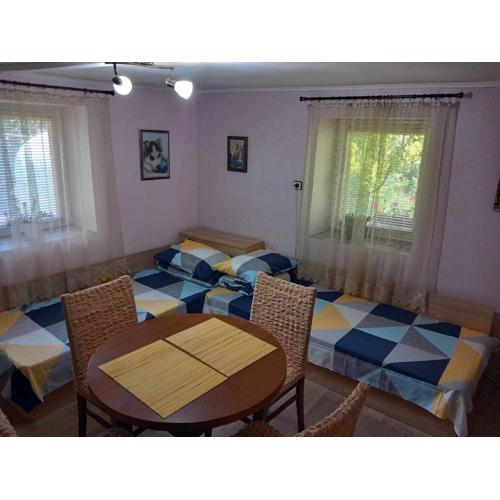 Lovely studio in Dragoman with garden and garage