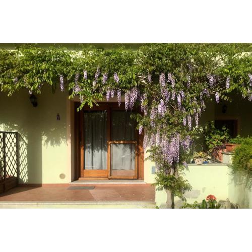 Luciana House