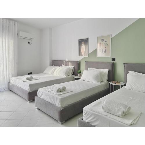 Lulu Suites- Lime
