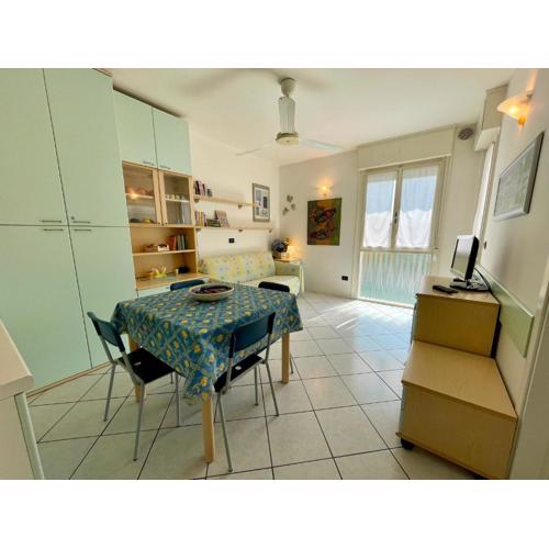 Luminous flat with a big terrace