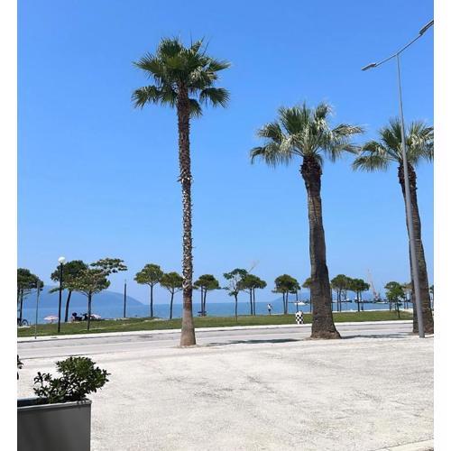 Lungomare Apartment