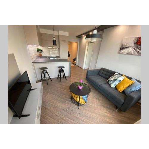 LUX 1BD/1BA City Center Apartment