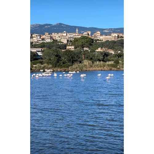 Luxe et Confort à Porto-Vecchio