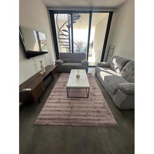 Luxurious two bedroom apartment with roof garden