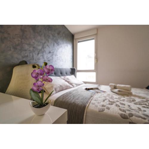 Luxury 1 bedroom App Center&balcony FREE PARKING