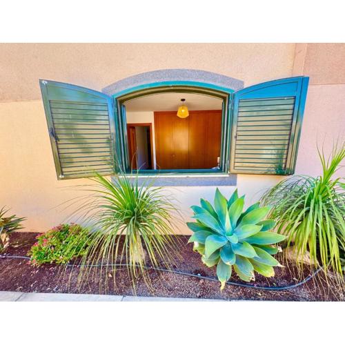 Luxury apartment in Playa Paraiso