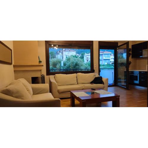 Luxury Apartment Olympus mountain view