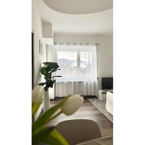 Luxury apartment with view (1min from lake/center)