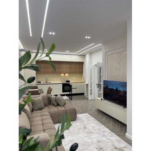 Luxury apartment