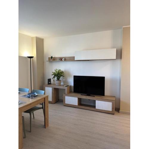 Luxury Apartment