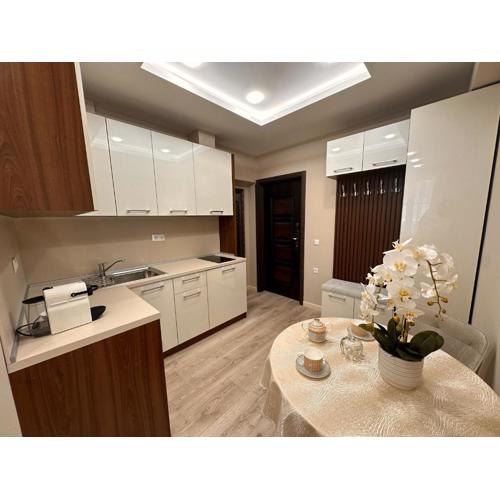Luxury Apartments 1