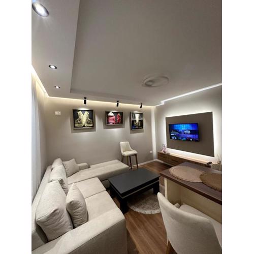 Luxury Center Apartments