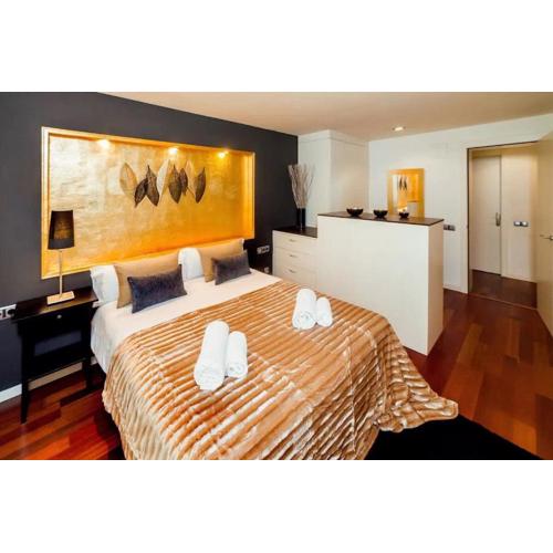 Luxury Duplex Apartment in the Heart of Barcelona