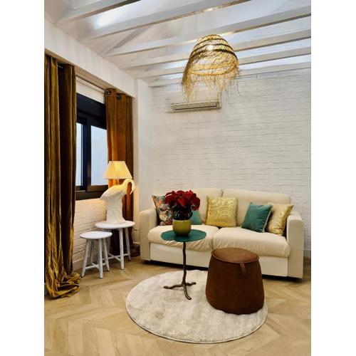 Luxury historic Centro apartment