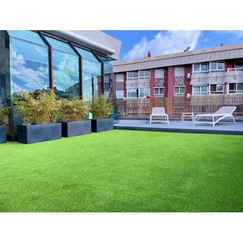 luxury loft with terrace