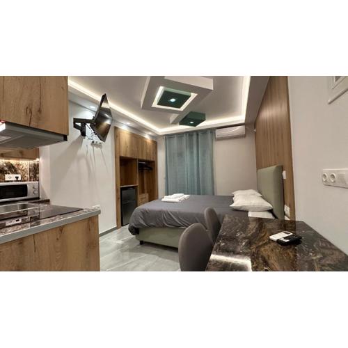 Luxury Semi Basement Apartment with Terrace