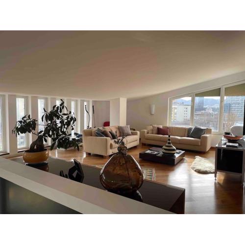 Luxury spacious flat with a lovely terrace