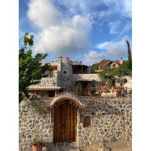 LUXURY STONE VILLA with SALT WATER POOL AND JACUZZI