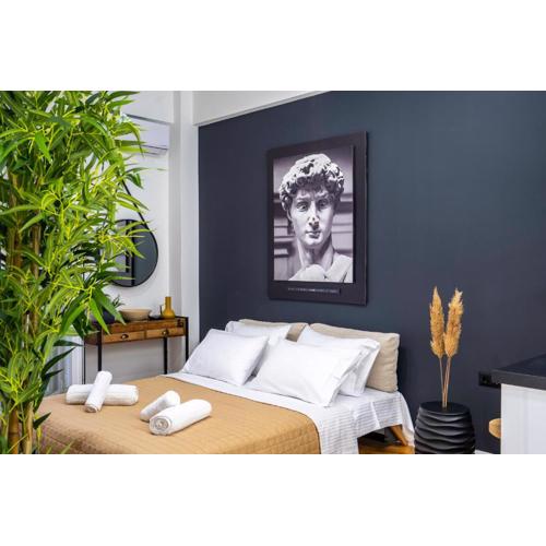 Luxury Studio Apartment in the Heart of Athens