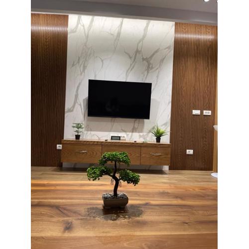 Luxury Suite21