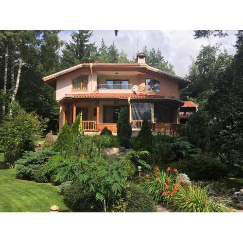 Luxury Villa Borina