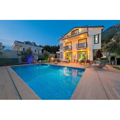 Luxury Villa Forest with Private Pool - Ovacik