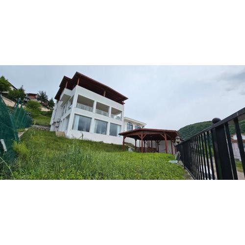 Luxury villa with sea and forest view