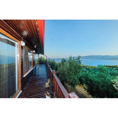 Luxury Wooden House İn The Heart Of Nature