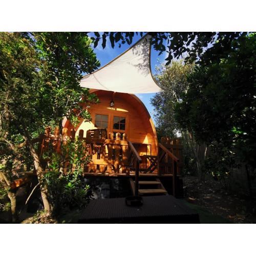 Ma cabane au fond du jardin