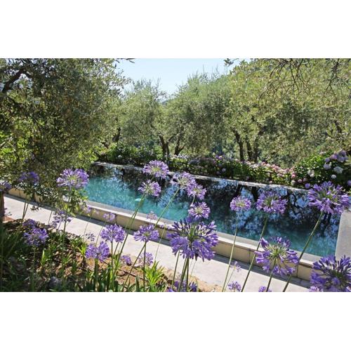 Macennere by Salogi Villas
