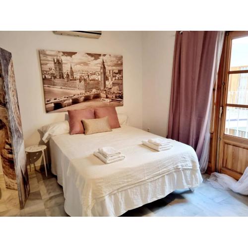 Magnifico Loft Sevillano en el Centro
