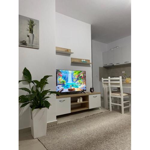 Main apartment Bulevard 5