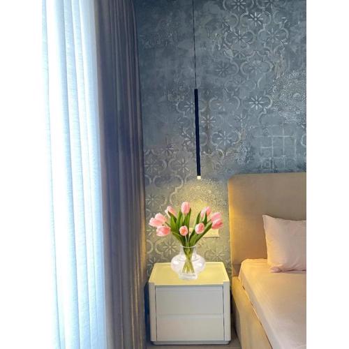 MAin Luxury Apartment 1
