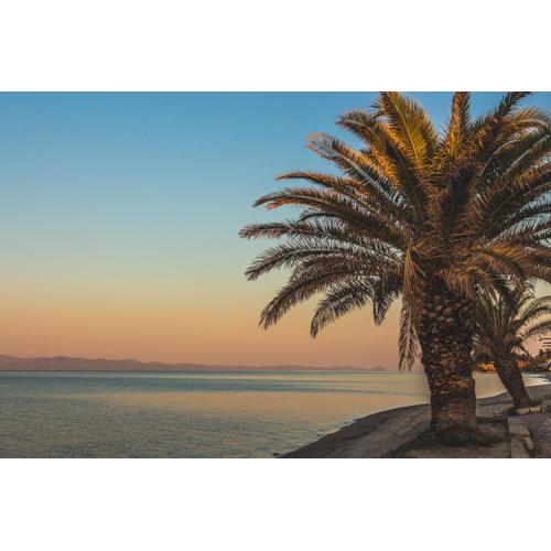 MainAvenue Palm Seaside
