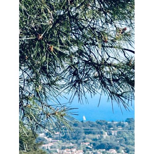 MAISON indépendante VUE MER au cœur de la NATURE