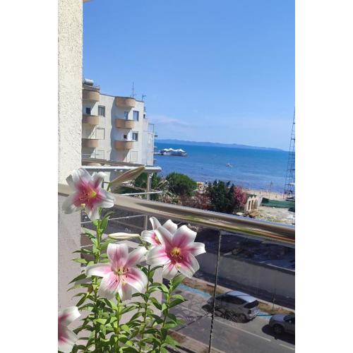 Maksimilian Apartament