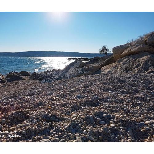 Mala Marta, 60qm room, near beach