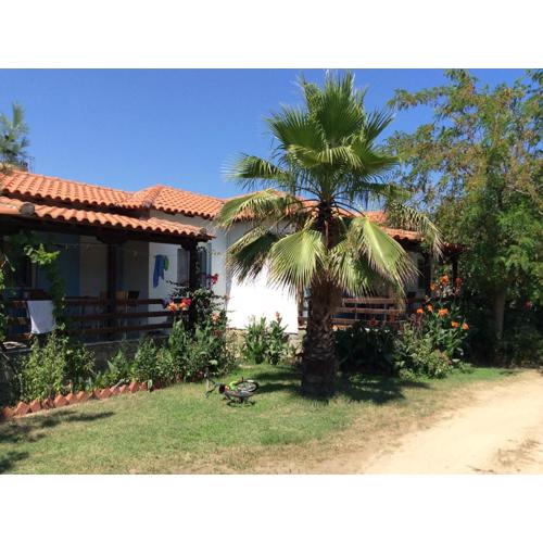 Malama Rooms