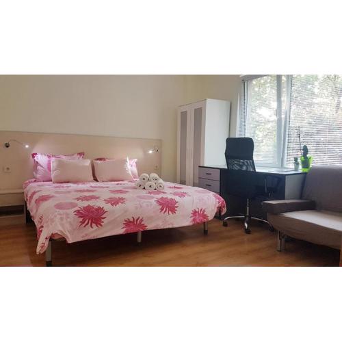 Malavi top center studio Ruse! Comfort&clean!